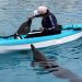 Profepa mantiene bajo vigilancia a nueve delfines asegurados en Dolphin Connection Cancún