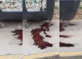 El charco rojo que encendió las alarmas en Paraíso Maya… y terminó siendo pollo