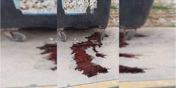 El charco rojo que encendió las alarmas en Paraíso Maya… y terminó siendo pollo