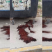 El charco rojo que encendió las alarmas en Paraíso Maya… y terminó siendo pollo