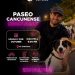 Ana Paty Peralta consolida “Paseo Cancunense”