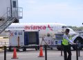 Aeropuerto de Cancún mantiene activa su conectividad con más de 300 vuelos