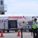 Aeropuerto de Cancún mantiene activa su conectividad con más de 300 vuelos