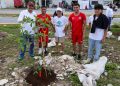 Arboriza Cancún suma 150 árboles en la avenida 20 de Noviembre