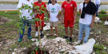Arboriza Cancún suma 150 árboles en la avenida 20 de Noviembre
