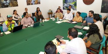 Ana Paty Peralta coordina acciones para atender el sargazo en Cancún