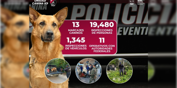Realiza Unidad Canina K9 casi 20 mil inspecciones en una semana en Quintana Roo