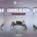 Cancún activa campaña para proteger el paso del cangrejo azul