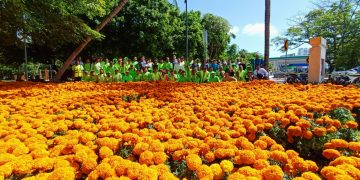 Florece nueva imagen en ZH